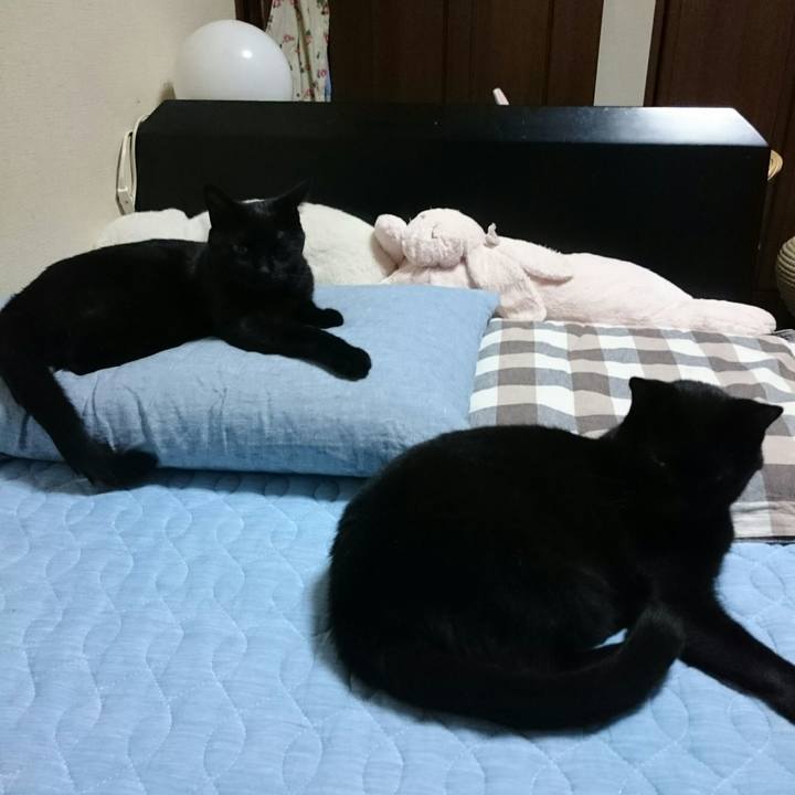 2927bea1 f4c6 440d bf9f 151840c0626b