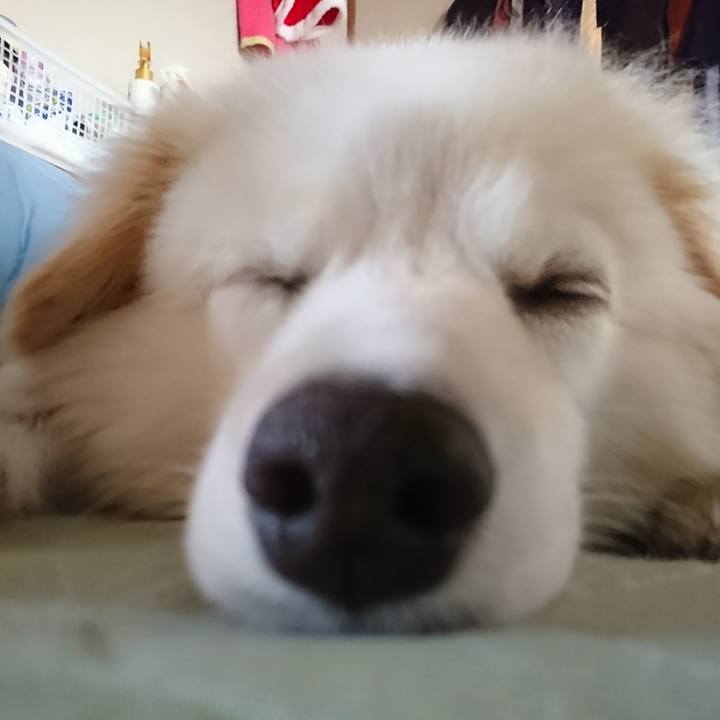 2927e88a d8dd 46f4 89c1 0166b56c21c6