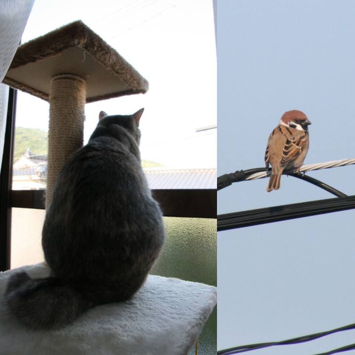 29286b21 e6b1 4a26 a208 800f5f2e5aa3