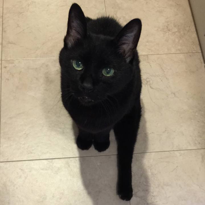 2928e7c4 b0e6 49d1 9aad db6e69e50bb1