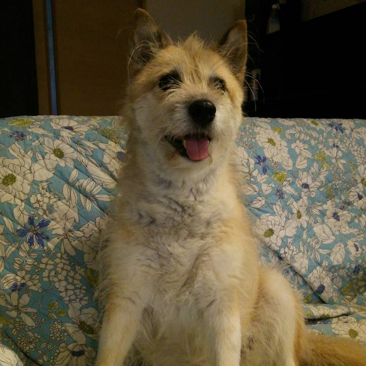 29295cd9 392b 459e 9515 d24cbf94028b