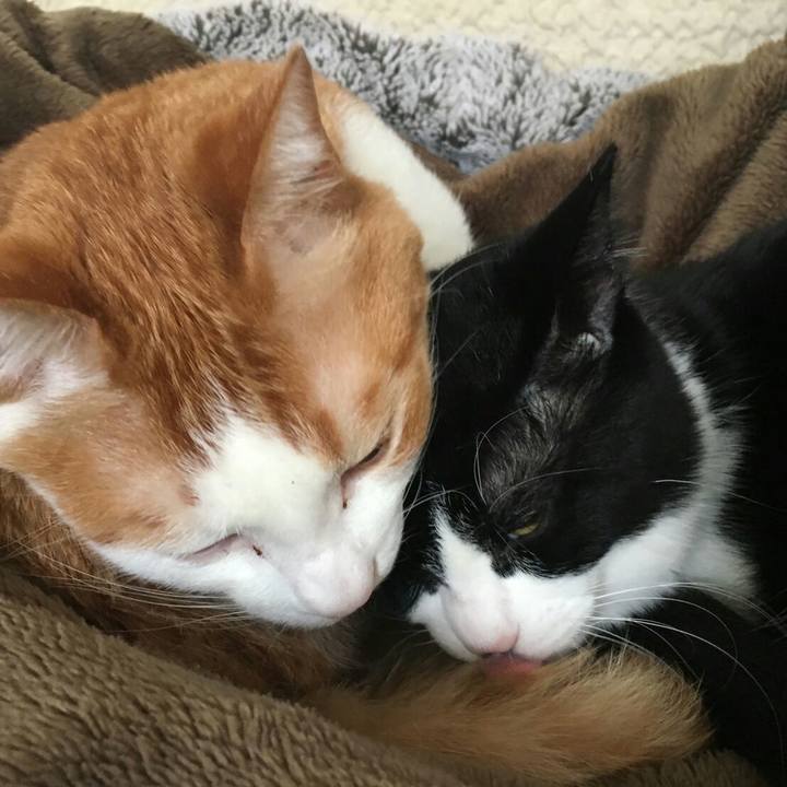 292a3646 28bf 4c59 97ad 8874ef22f6cf