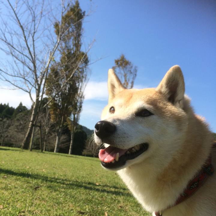 292ac7a6 5b6b 4de2 bb9c 461ad7a8d8a8