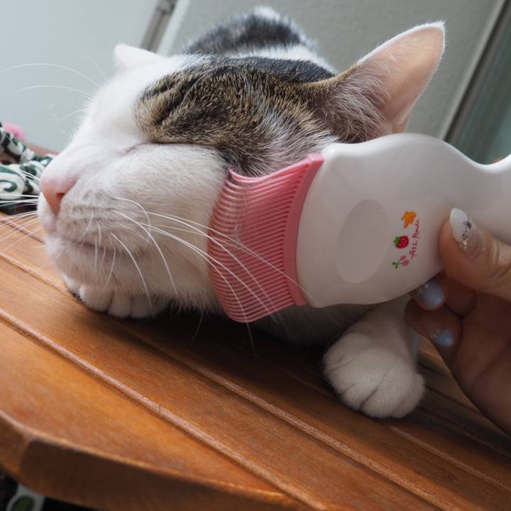 292b0674 5c42 46b9 b6c0 ebc81f6188f1