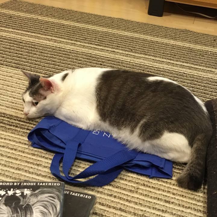 292b4fdf b6fb 4913 8319 7eb356058f39