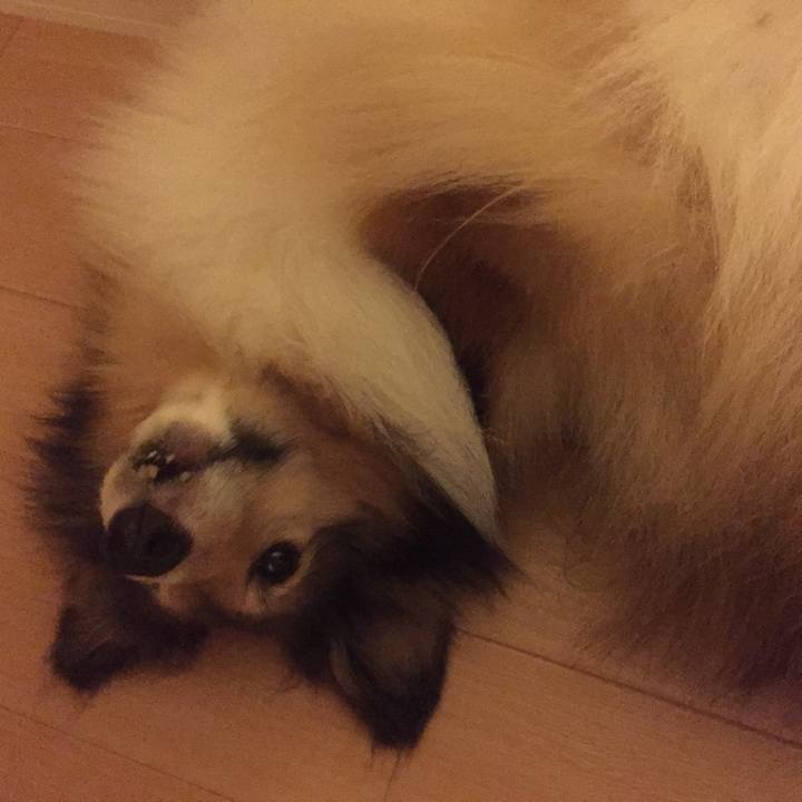 292b99ea e7eb 4736 9239 9b4b8ee5880b