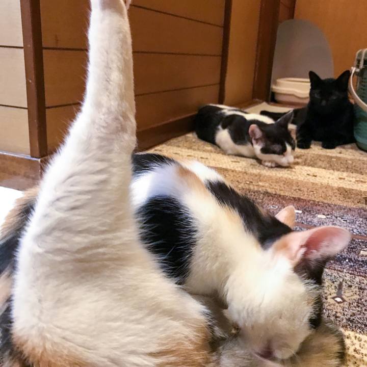 292c480c 963e 4fb5 9495 50cbdd10f709