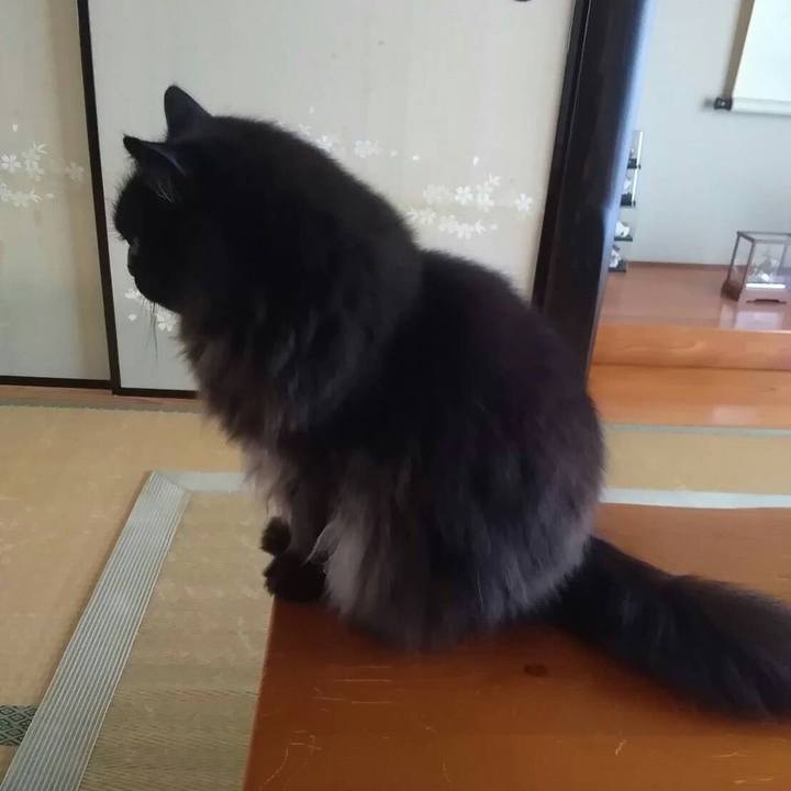 292c6fd1 0866 4ff1 920e b1c00582ee82