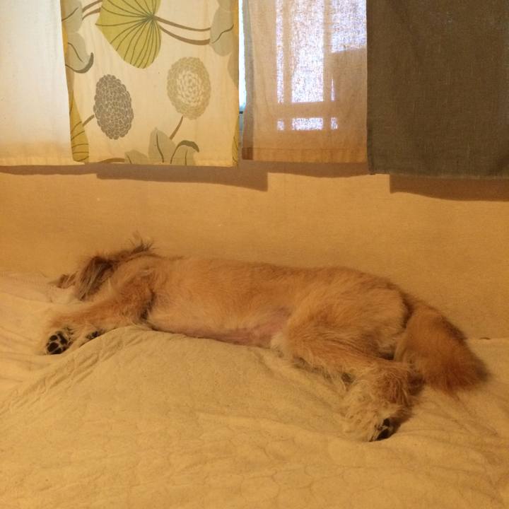 292cc1ce 11f7 4633 ab26 d45db70b8c3a