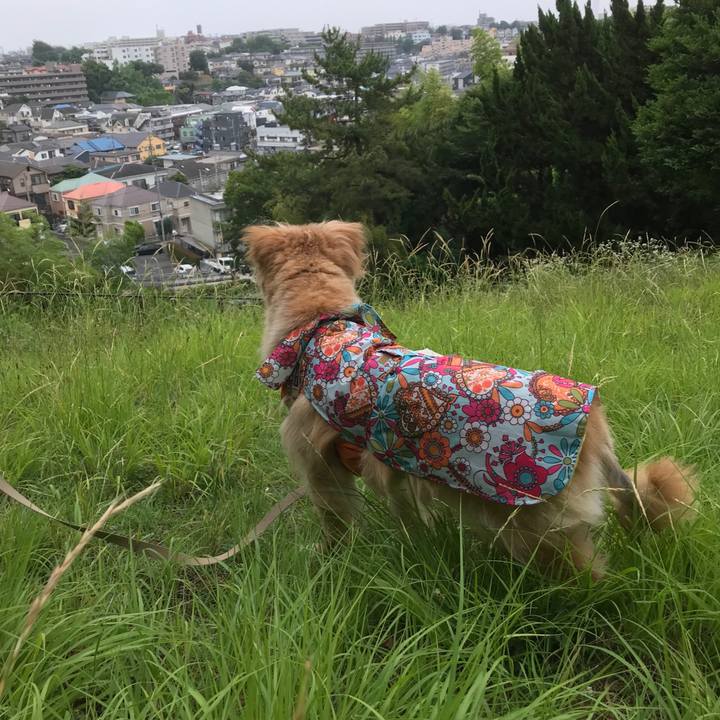 292cfef2 3e4e 4c99 9811 c00016f4498e