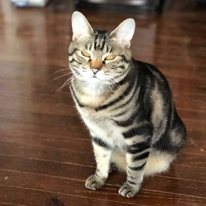 292d0e92 0faf 44f0 a9b1 1237dbfbc5b3