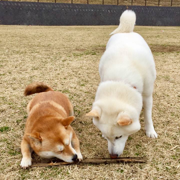 292d1ec5 8728 42e0 aa59 7510d11ffb08