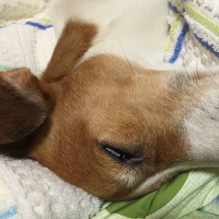 292d652e 951b 406b babf 1d007a363d15