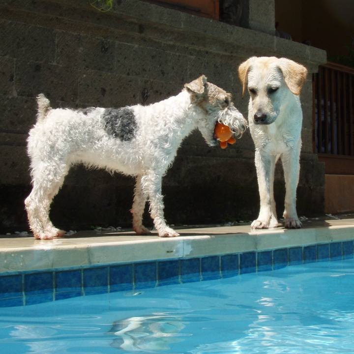 292e46ef a861 43fa ad58 ebf5c92b2e56