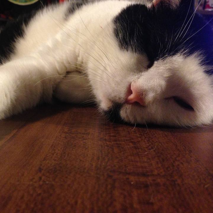 292ef0ce 03e2 42ff b976 e9fc747adc1e