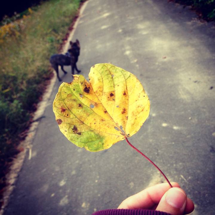 292f5454 d32f 461c b226 4734ea43b43e