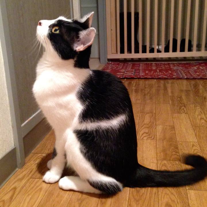 293003ae abcd 4227 be6c 59a5be1eb906