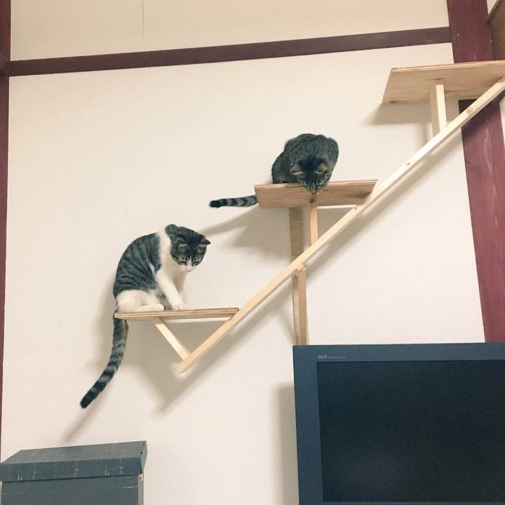 2930113d 3b1d 420f 806f f9175e496c76