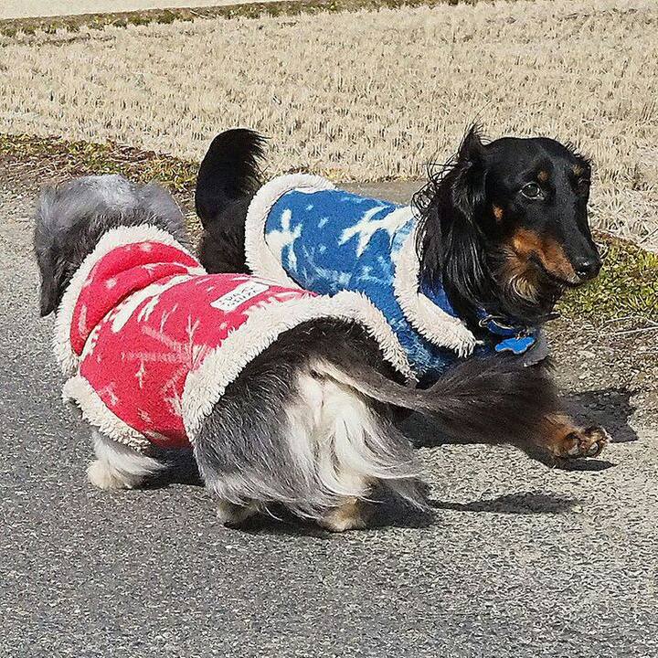 2930bfce 6e63 472e 8b82 ad9e53da4afd