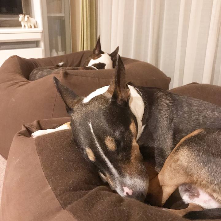 29314216 0f91 4a94 b276 98d78427bdd3