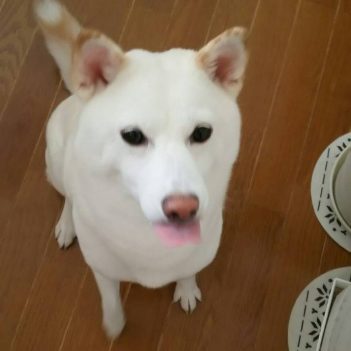 2931511e f488 46b9 8b66 a6c26341366e