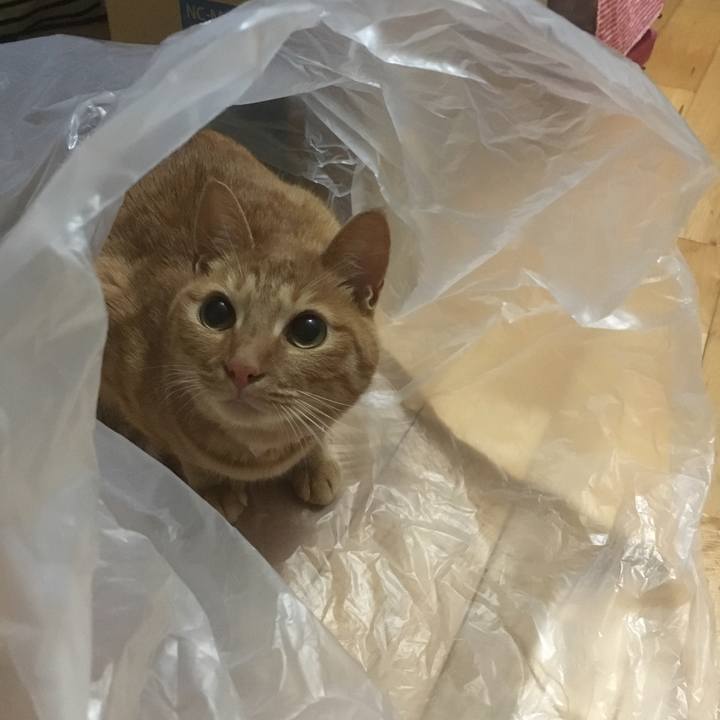 2931a06c 7d98 442d b85b 92ab88da633a