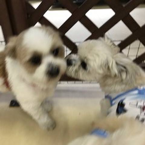 2932318e 77b6 44f3 9046 81c5dc9aceeb