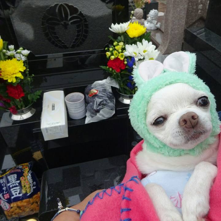 293289b4 b6cb 4a64 be05 7994bc796f64