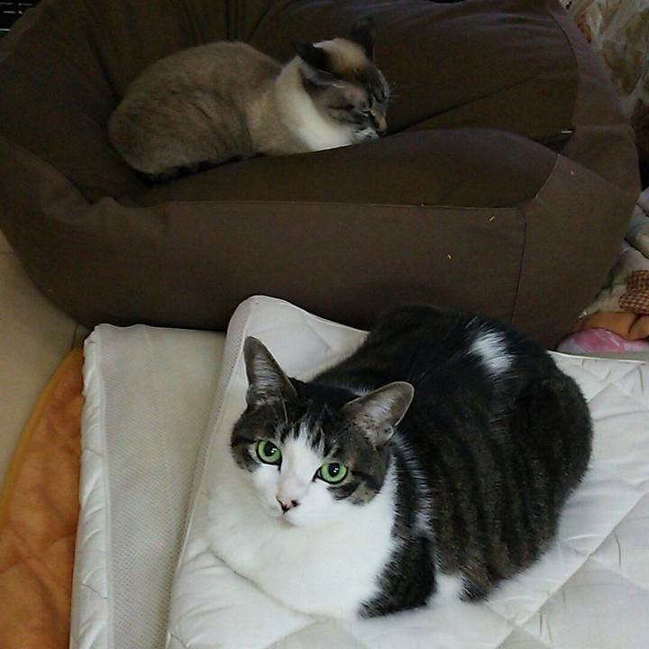 2932c398 7dc0 4698 ad52 ce3aaacafa6b