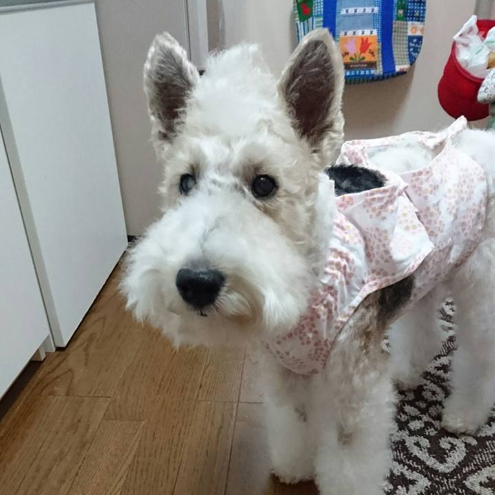 293333a1 68a8 454e 82bf 75a3035294ec