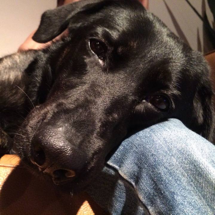 293413bd 29c5 4f82 9f8e 395c0cc09640