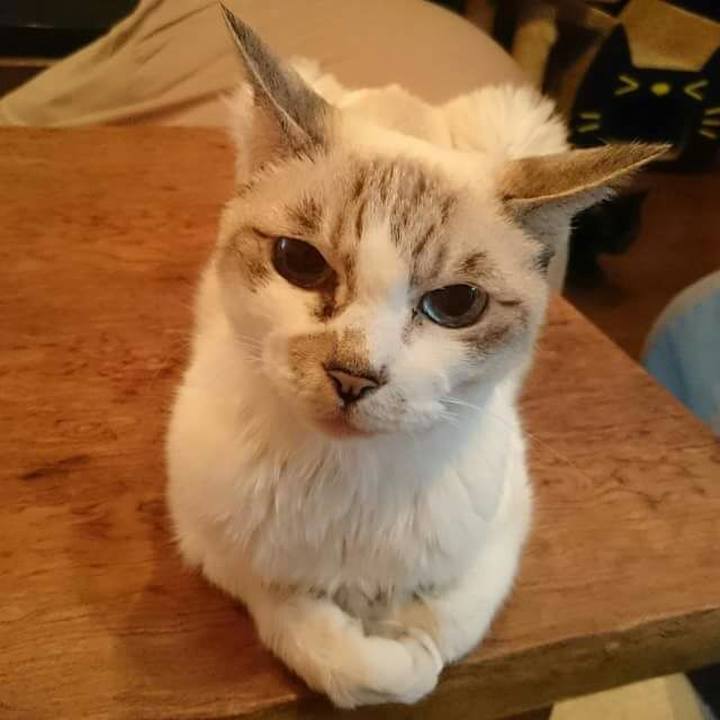 29348218 bcbd 4195 bd97 e7ccfb7272f9