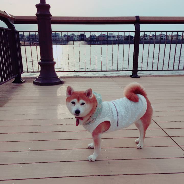 29349da4 9a54 40c8 9092 519cfc861601