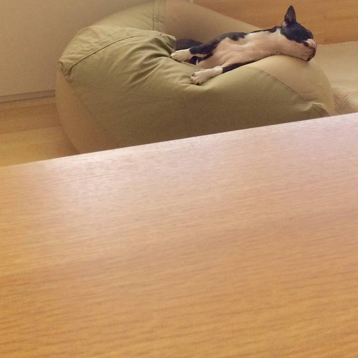 2934bbdd e7d0 42f4 86be f9d6ebf3645d