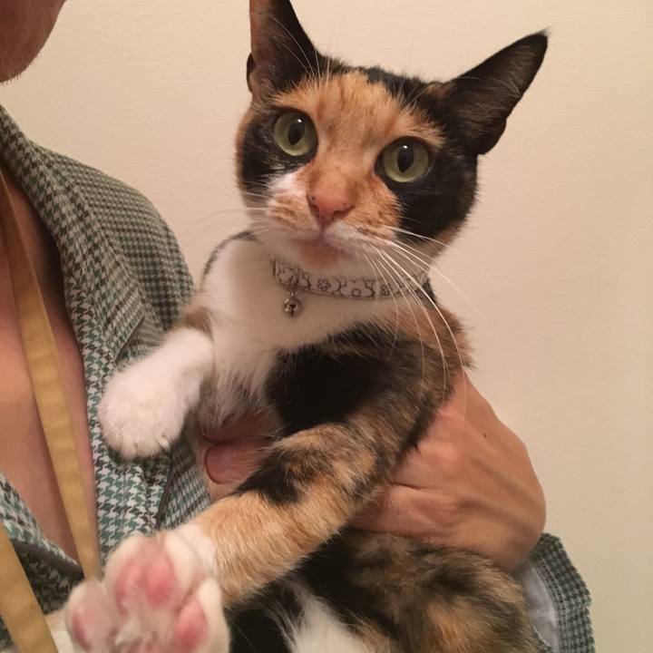 293533d6 cb32 4fbd ad58 bb580a9fd420