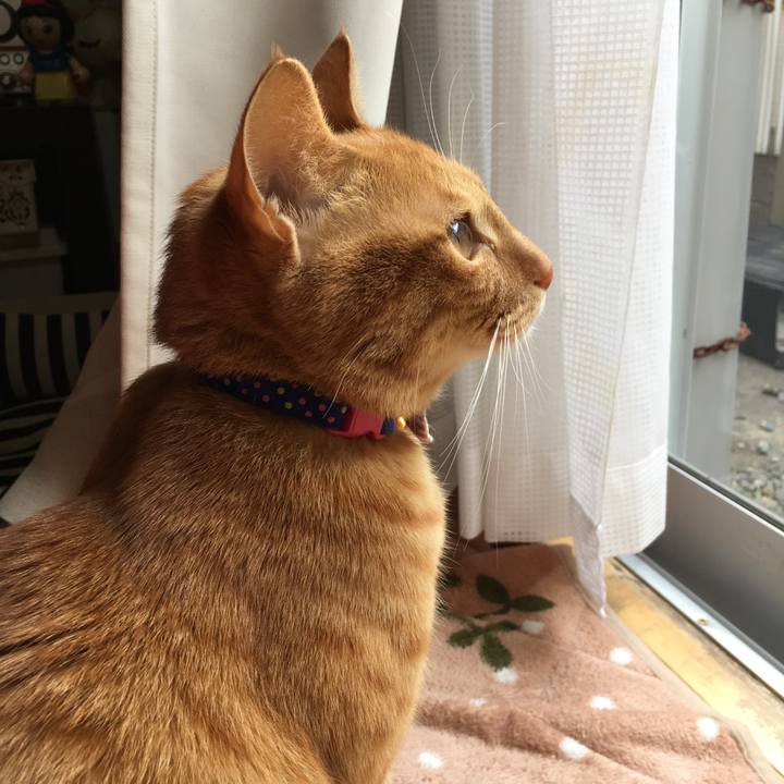 293535e0 073e 4496 8f2c e29a47b06c39