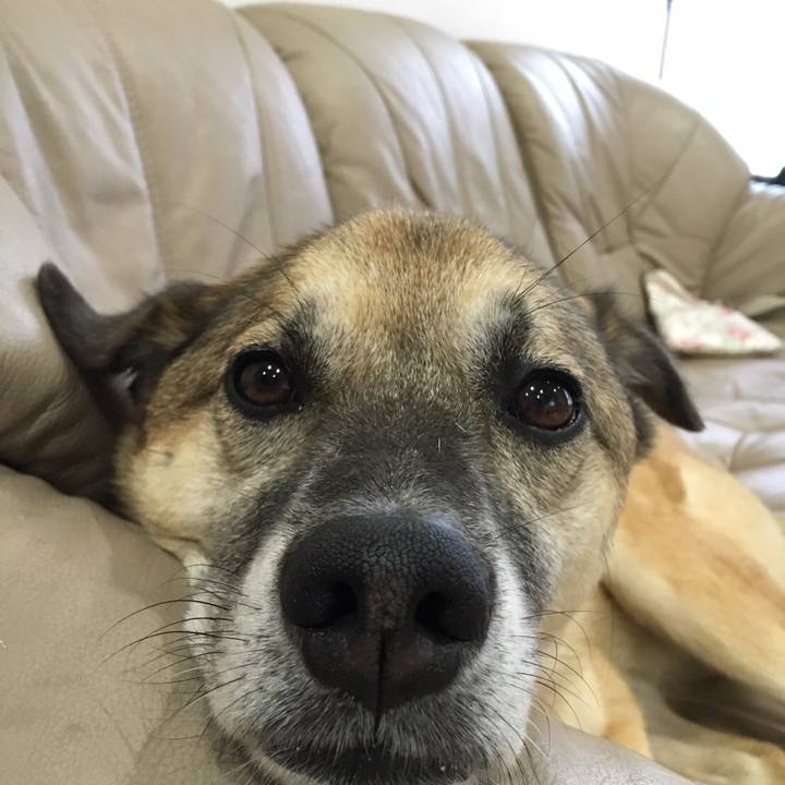 29355720 be1e 4f83 b628 ce240e65011b