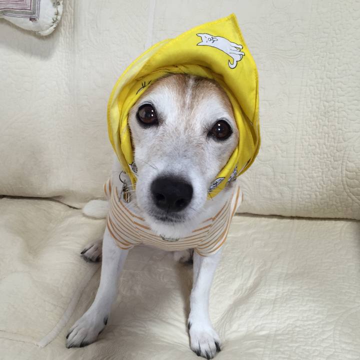 293645fe e2e3 4de5 8471 1101d34e9183