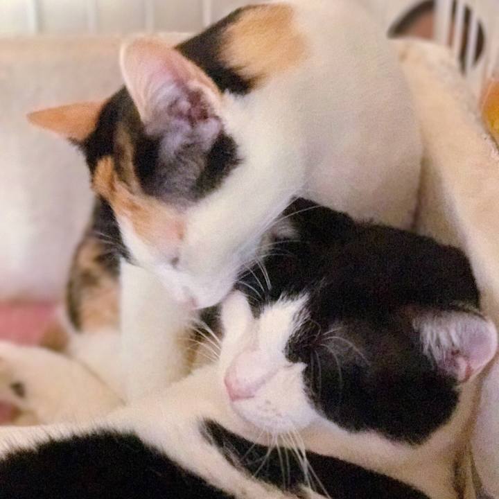 2936994f 0be5 4203 98f3 ab2e5a69e0ed