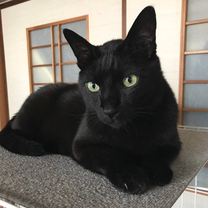 2936a9e9 40c4 4d50 9fb3 f4b404ec72e0