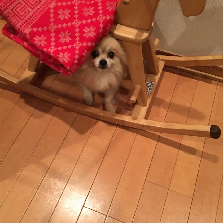 2937939e ff79 4df6 bb47 12a86ee82054