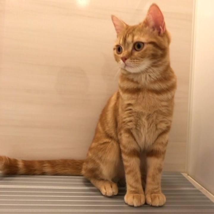 2937b51e 3c94 4378 a7f1 0f0de2e1b5b5