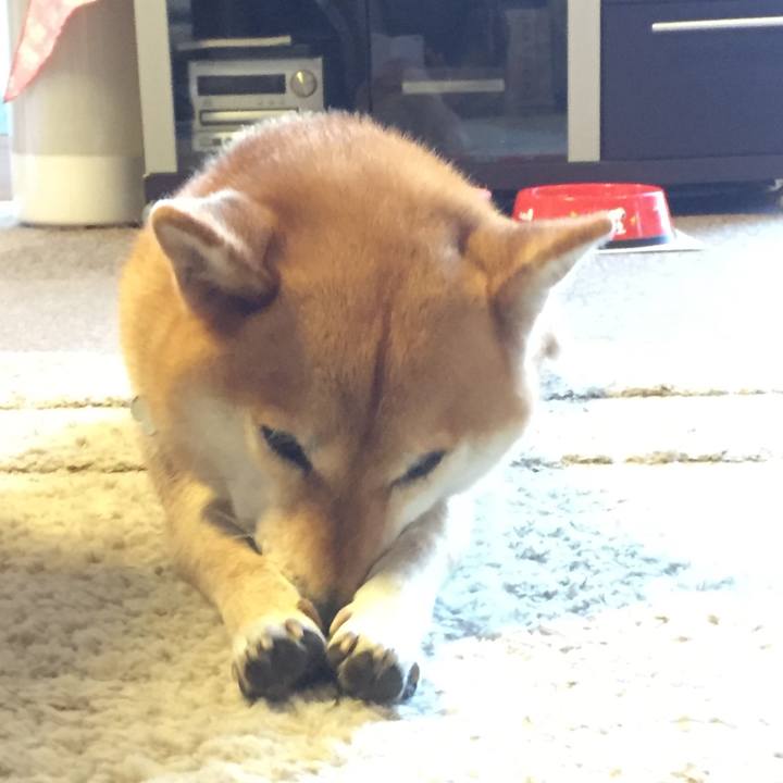 29380ecc cc78 4b80 b9ff b99571e143bc