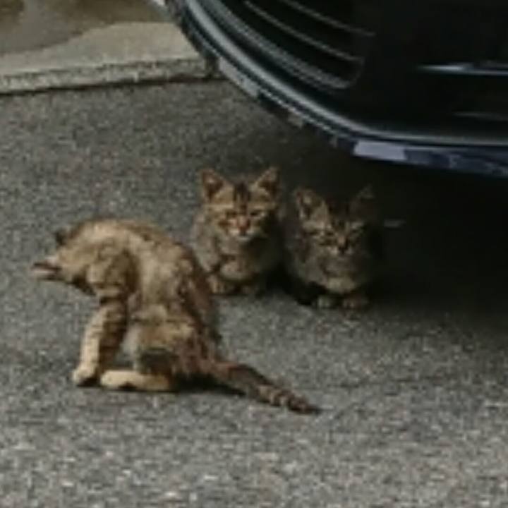 29386e48 ce46 4628 a447 74a041ce6816