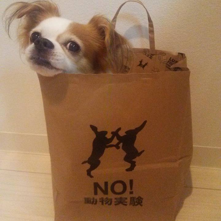 29392b81 7b1d 4936 87f4 a9efdc3484f3