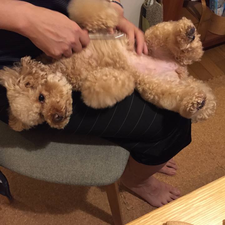 29395e0b 714d 4991 be2c c16cc84a737b