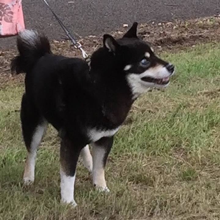 293971bc 2a24 46a7 8fc8 96272382a8dd