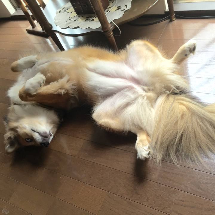 293a3957 768f 4c55 aa3c 018e43b2a5a8