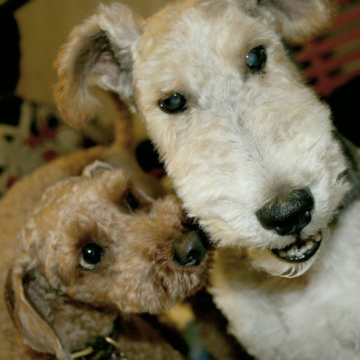 293a5acc 9196 4b88 8598 f67d539e28f7