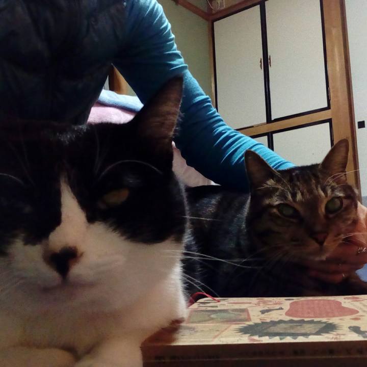 293a8eaf 3d9e 406b 85ef 99d47a9056d6